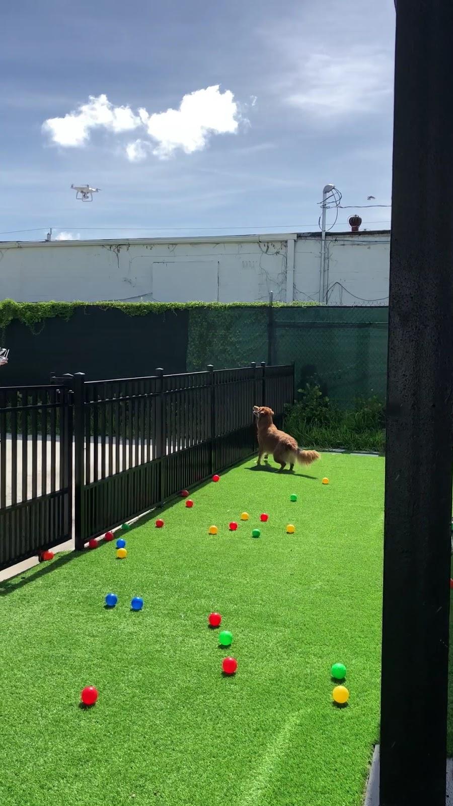 Drone view of yard